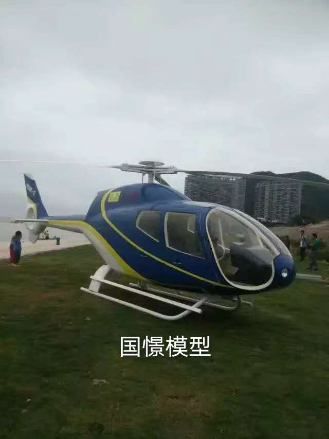 哈巴河县飞机模型